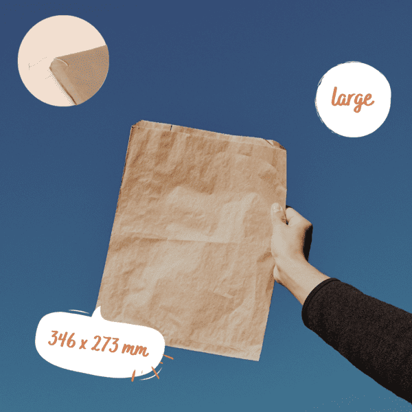 flat paper bags 10