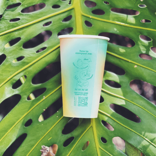 [Limited] 16oz Cup Tropical Series - Image 3